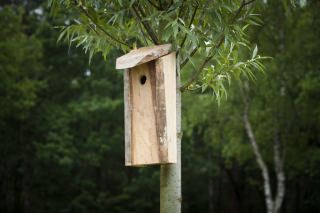 duurzaam nestkastje vogelhuisje gemaakt van restmateriaal